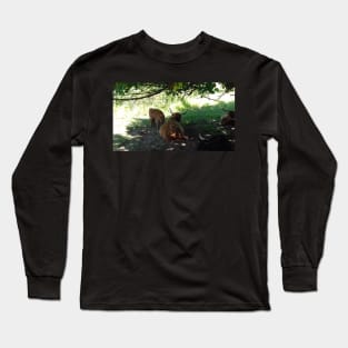 Highland Cattle at Pollok Country Park, Glasgow Long Sleeve T-Shirt